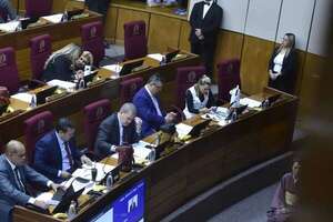 La Cámara de Senadores analizará plan sobre inconstitucionalidad - Política - ABC Color