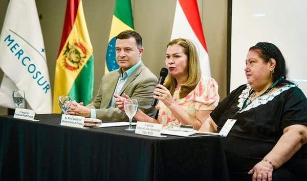 Continúa taller sobre acciones conjuntas contra el Dengue y arbovirus en la Región