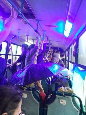 Transporte público deplorable: pasajeros se refugian bajo paraguas en colectivo - Nacionales - ABC Color