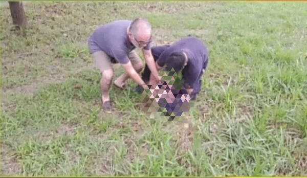 Gracias a una firuláis encontraron al bebé tirado en un patio baldío