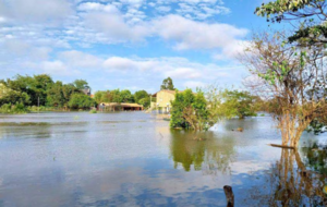 Alerta por inundaciones: doce distritos de Ñeembucú fueron afectados