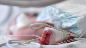Denuncia de presunto aborto deriva en abandono de recién nacido - Portal Digital Cáritas Universidad Católica