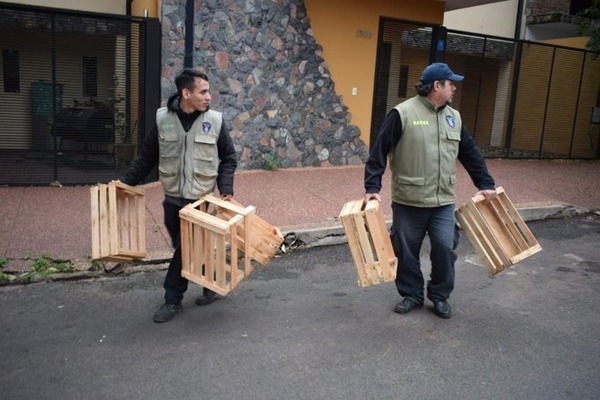 Asunción: Realizan despeje de cajas de cuidacoches en zona de Puerto - ADN Digital