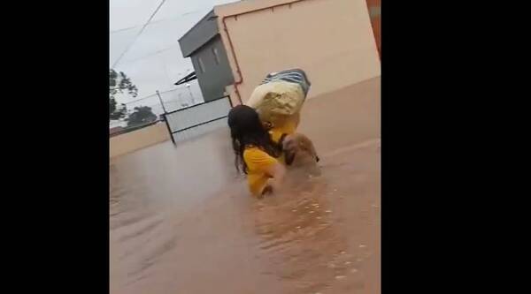 [VIDEO] Tommy, el perro que cuidó a su familia en medio de las inundaciones