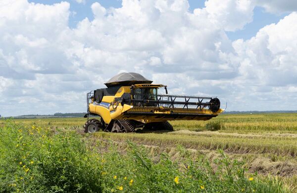 Importación de maquinarias agrícolas cae casi 9 % en el primer trimestre