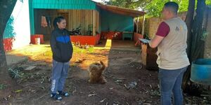 Sin Criaderos: más de 700 viviendas fueron intervenidas en Tavapy