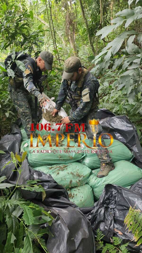 Operativo Basalto 2 inicia con la destrucción de más de 100 toneladas de marihuana - Radio Imperio 106.7 FM