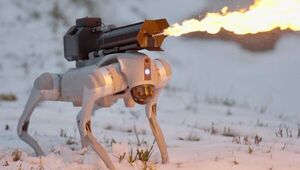 No muerde, pero quema: Thermonator, el perro lanzallamas de casi US$ 10.000