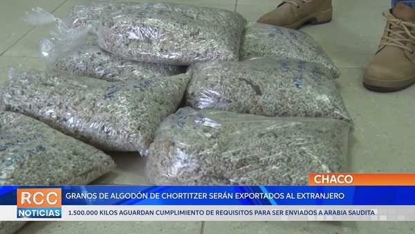 Granos de algodón de la Cooperativa Chortitzer serán exportados al extranjero según indicó SENAVE