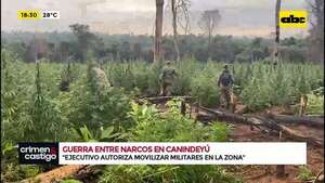 Destruyen 130 hectáreas de marihuana en Canindeyú: la mafia pierde 7 millones de dólares - Crimen y castigo - ABC Color