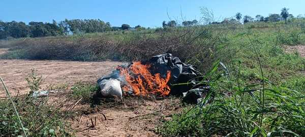 La Senad destruyó 6 toneladas de droga en Yby Pytá - Megacadena - Diario Digital