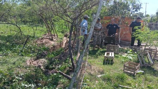Hombre mata a su tío político en sector rural de Concepción