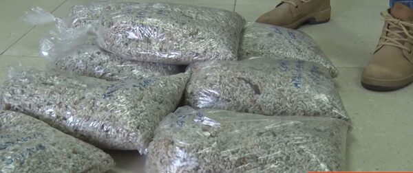 Exportación de 1.500.000 kilos de granos de algodón de la Cooperativa Chortitzer llagará a Arabia Saudita