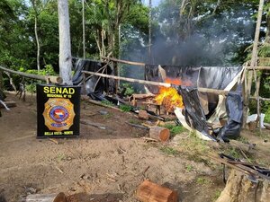 Destruyen seis toneladas de droga en Canindeyú - Radio Imperio 106.7 FM