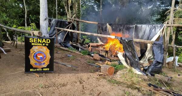 La Nación / Destruyen seis toneladas de droga en Canindeyú