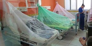 Epidemia de dengue refleja disminución gradual de notificaciones