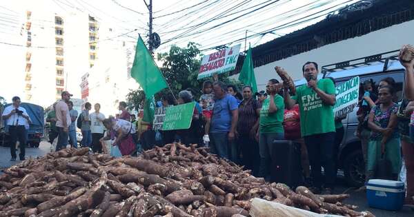 La Nación / Productores de mandioca se movilizarán por suba de precio