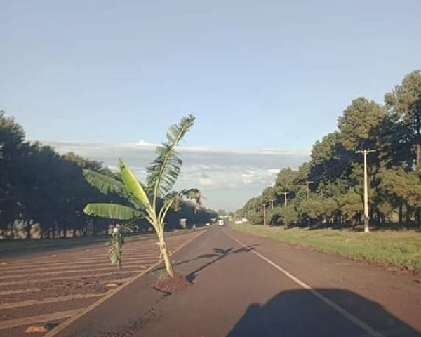 Ingenio paraguayo en acciones contra baches - La Tribuna