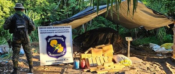 Destruyen e incineran marihuana y otros objetos en Concepción
