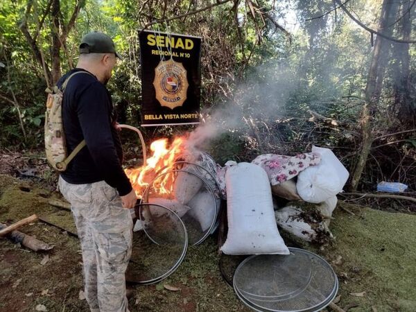 Bella Vista: destruyen 14 toneladas de marihuana valuada en 420.000 dólares