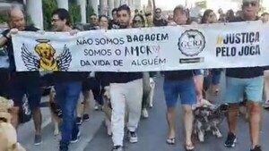 Muerte de un perro enviado en un vuelo equivocado en Brasil desata protestas