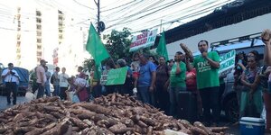Protesta de pequeños productores de mandioca se realizará mañana en Alto Paraná - ADN Digital