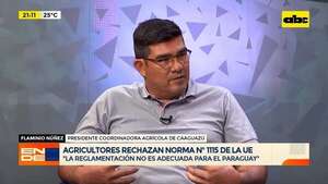 Video: agricultores repudian el avance de las negociaciones con la UE y la norma N° 1115 - En Detalles - ABC Color