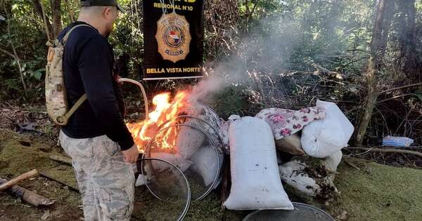 La Nación / Queman 14.000 kilos de marihuana