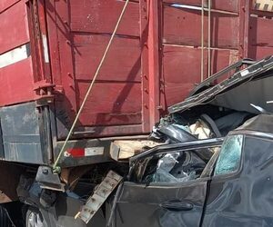 Camionetaza “entró” por un transganado: Murió el conductor y su acompañante está grave