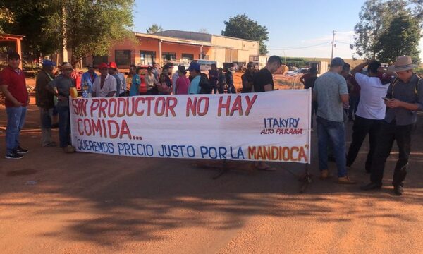 Mandioca se vende a Gs 300 en las fincas y productores elevan su voz de protesta