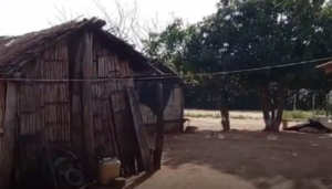 Capitán Bado: menor de 15 años habría asesinado a su hermanita