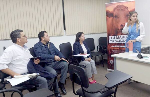 Reunión entre representantes de la Dirección de Marcas y la Conalcart