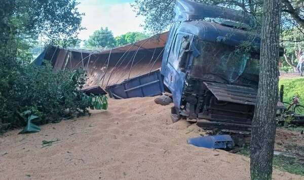 Animal vacuno provoca vuelco de camión en José Fassardi - Nacionales - ABC Color