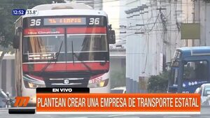 Plantean crear una empresa de transporte estatal | Telefuturo