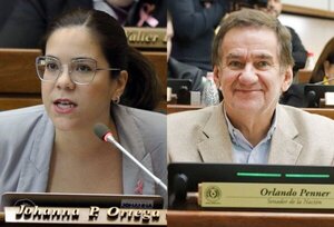Penner es una «estafa más a los electores», sostiene diputada Ortega