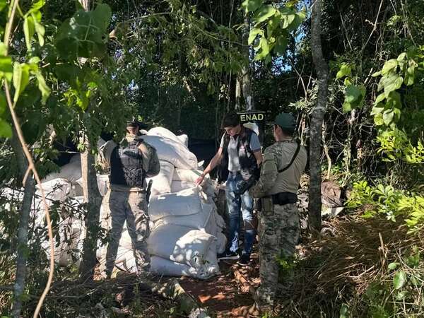 Yby Yaú: eliminan zonas de cultivo y almacenamiento de marihuana - Policiales - ABC Color