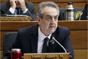 Otra más de Yamil Esgaib: pidió que Cámara de Diputados controle «a la patota» de la prensa