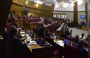 Luz verde para que Diputados de Parlasur y Parlatino puedan viajar más - Política - ABC Color