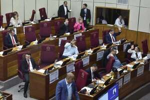 Cámara de Senadores aprueba ley que exige a estudiantes extranjeros hablar español o guaraní - Política - ABC Color