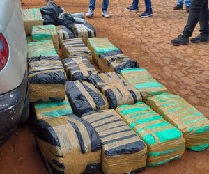 Decomisan 435 kilos de marihuana de un automóvil en Hernandarias – Diario TNPRESS