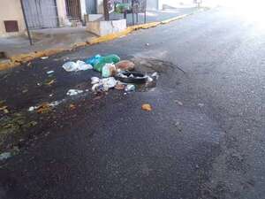 Cubren bache con basura - Crónicas Ciudadanas - ABC Color