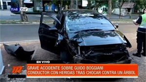 Conductor chocó contra un árbol sobre Boggiani - Noticias Paraguay