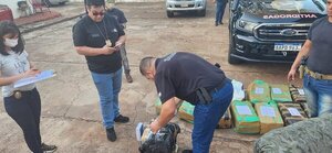 Confiscan vehículo con casi media tonelada de marihuana en operación conjunta