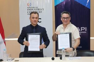 BUSCAN INSERTAR A MAYOR CANTIDAD DE MIPYMES AL SEGURO PARA LAS MICROEMPRESAS - Itapúa Noticias