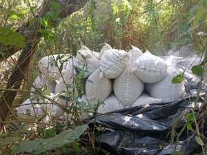 Senad incauta y destruye marihuana en el Parque Nacional Caazapá - Policiales - ABC Color