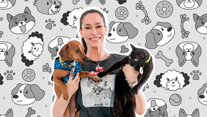 Olivia Tomassi de Dame una Pata: “Queremos que los animales experimenten el amor y pertenezcan a una familia”