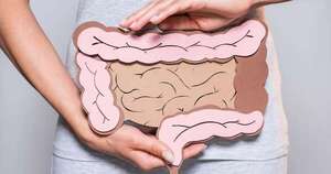 La Nación / Dictarán curso sobre el equilibrio entre el intestino y las hormonas
