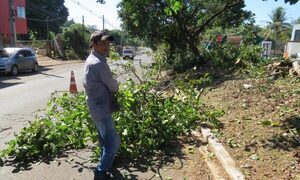Obreros municipales de Presidente Franco trabajan por embellecer la supercarretera – Diario TNPRESS