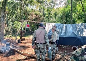 Más de 155 toneladas de marihuana sacadas de circulación en los últimos cinco días - .::Agencia IP::.
