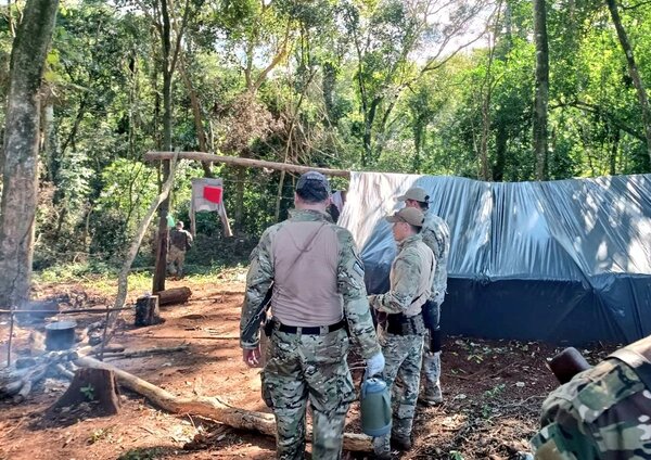 Más de 155 toneladas de marihuana sacadas de circulación en los últimos cinco días - .::Agencia IP::.